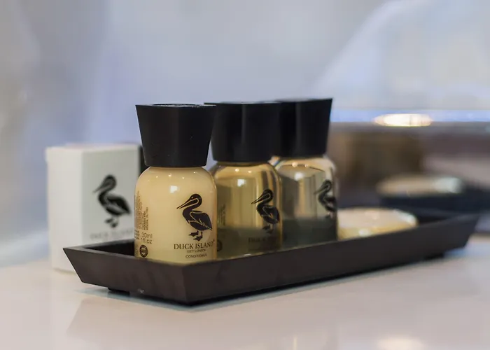 Hotel The Duke Boutique 3*