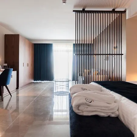 The Duke Boutique Hotel 3*