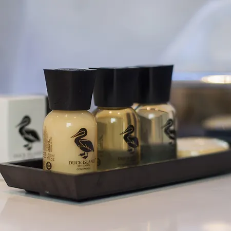 Hotel The Duke Boutique 3*